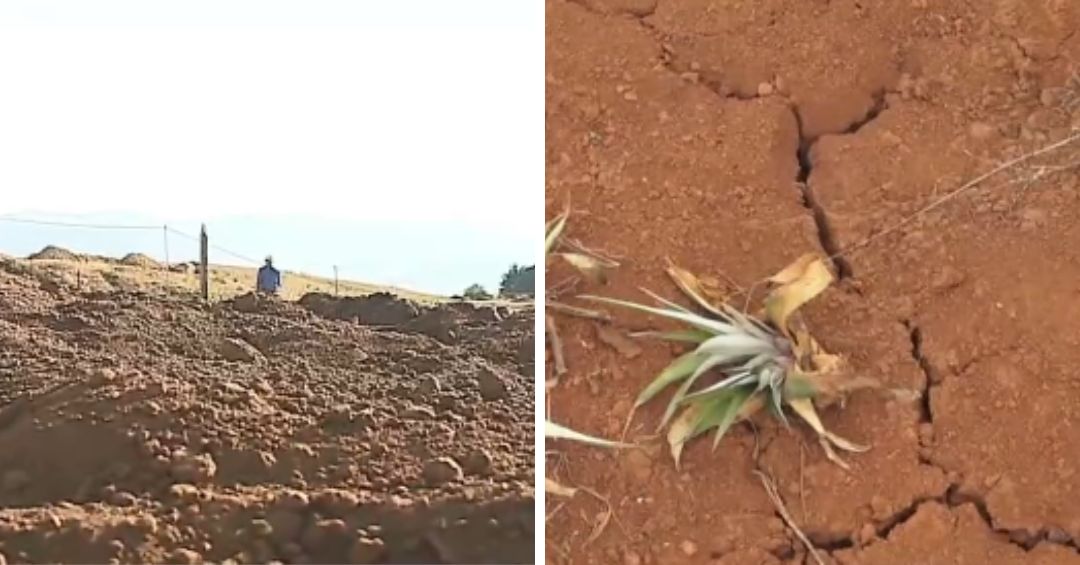 El país ya está bajo los efectos de ‘El Niño’