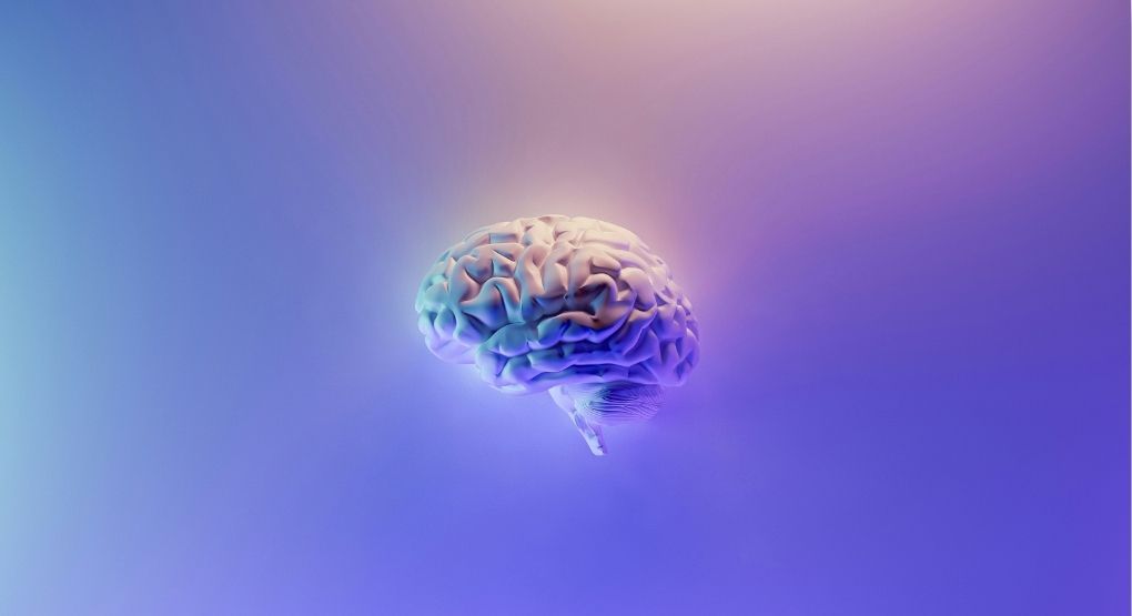 La conexión invisible entre el intestino, el cerebro y las emociones