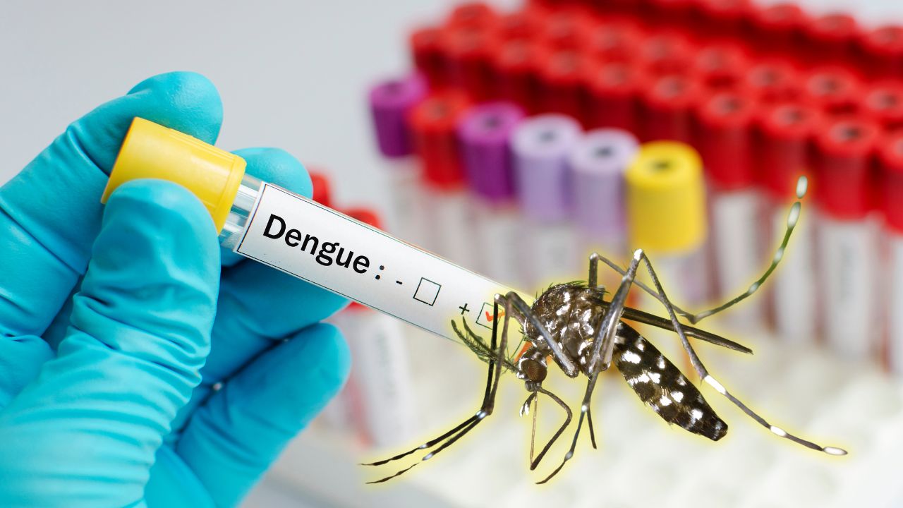 País llega a las mil personas con dengue