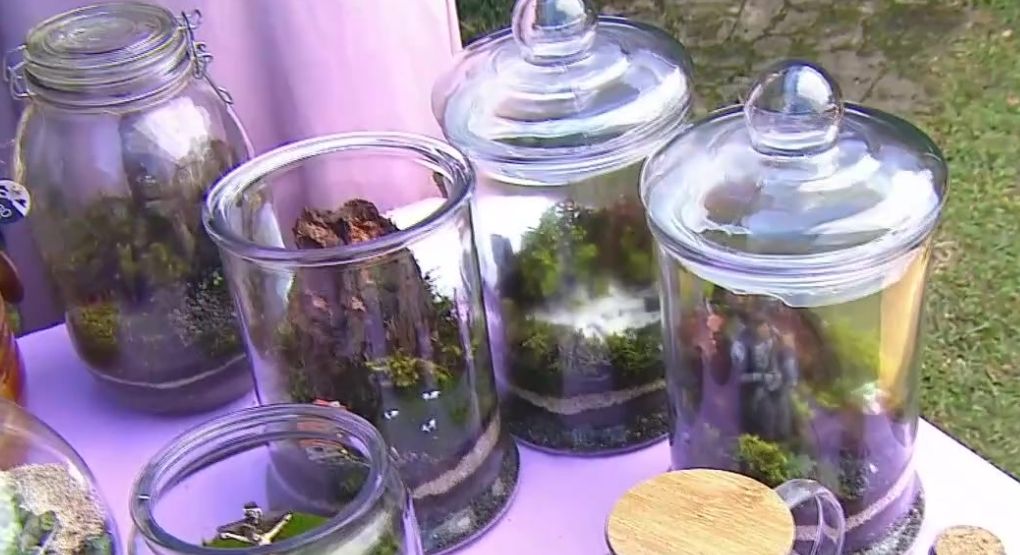 Frascos que cobran vida: así se crean pequeños paisajes natu