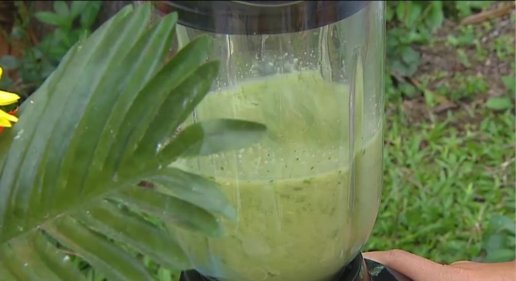 El secreto verde para fortalecer su sistema inmunológico